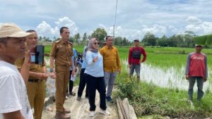Ketua Komisi I|| DPRD Lamsel Bersama PLN Tinjau Lokasi Pemasangan Gardu dan Instalasi Listrik
