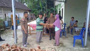 Menjelang Hari Raya, Pekon Banjar Agung Salurkan Sedekah 106 Ekor Ayam kepada Warga