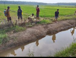 “Petani sawah di wira bangun mesuji was-was bupati diminta berikan bukti bukan janji”
