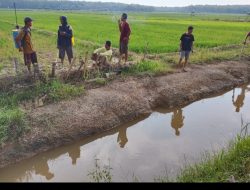 Tanggul jebol Tidak kunjung di perbaiki petani meminta bantu Anggota DPRD Agar membangunkan dinas PUPR mesuji yang sedang tidur”