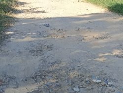Aliansi Jurnalis Persada: Dinas PU Kota Metro Tak Punya Skala Prioritas, “Muka Mulus, Bokong Kurapan”