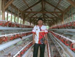 Pekon Sinar Banten Bangun Kandang Ayam Petelur, Dorong Perekonomian Lewat BUMDes